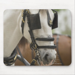 Horse with blinders mouse pad