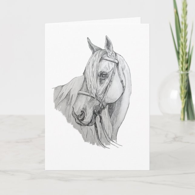 Horse with Flowing Mane Pencil Portrait Blank Card (Front)