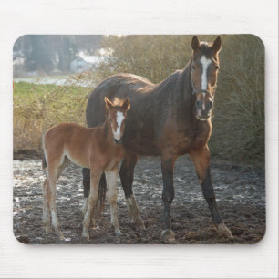 Horse with foal mousepad