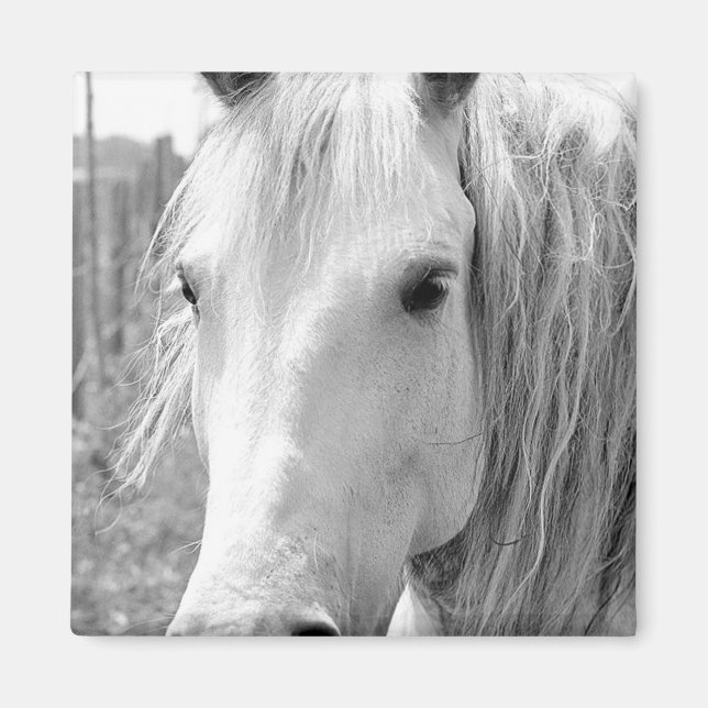 Horse with Grass Magnet (Front)