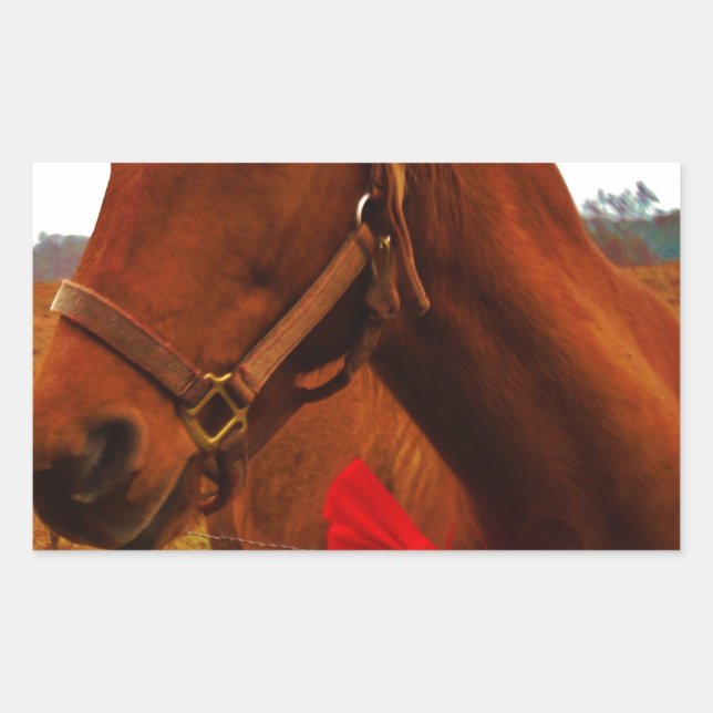 Horse with Red Bow Rectangular Sticker (Front)