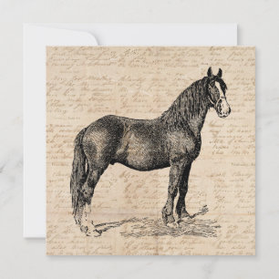 Horse with Script Paper Card