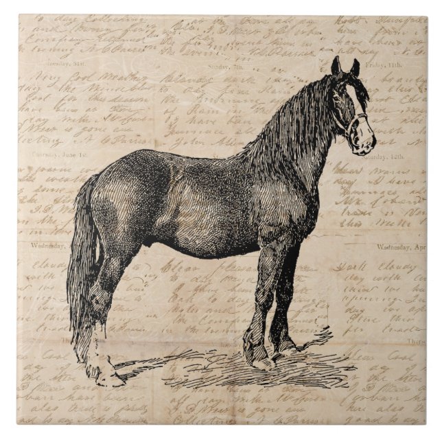 Horse with Script Paper Ceramic Tile (Front)