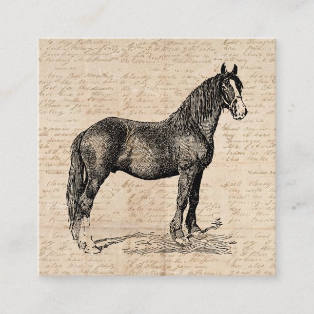 Horse with Script Paper Enclosure Card (Front)