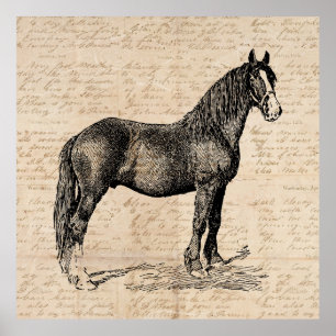 Horse with Script Paper Poster