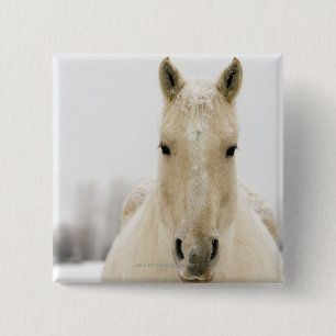 Horse with snow on head 15 cm square badge