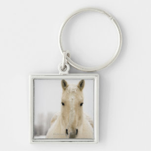 Horse with snow on head key ring
