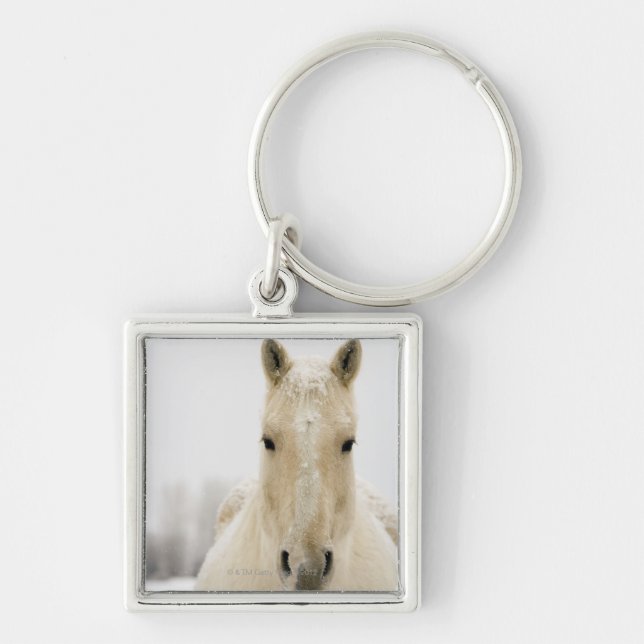 Horse with snow on head key ring (Front)