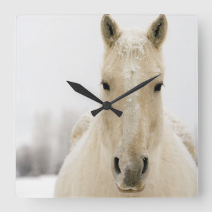 Horse with snow on head square wall clock