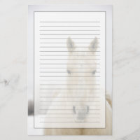 Horse with snow on head