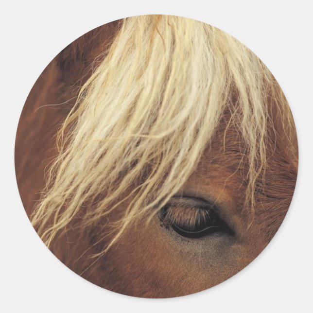 Horse with White Mane Classic Round Sticker (Front)