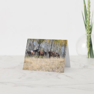 Horseback Riding in the Mountains notecards