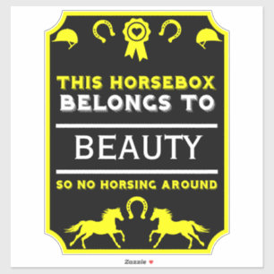 Horsebox Horse Riding