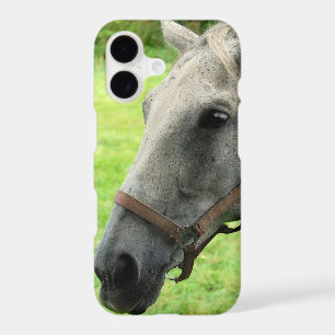 Horsehead 005