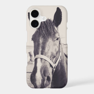 Horsehead 008