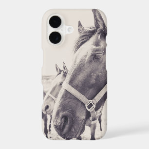 Horsehead 011