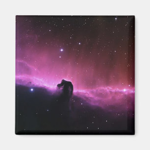 Horsehead Nebula Barnard 33 NASA Magnet