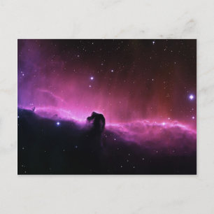 Horsehead Nebula Barnard 33 NASA Postcard