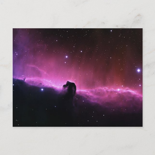 Horsehead Nebula Barnard 33 NASA Postcard (Front)