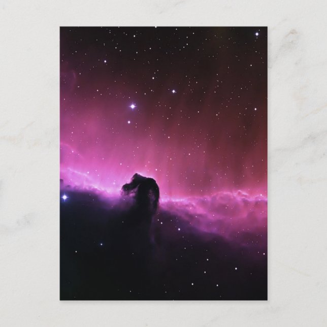 Horsehead Nebula Barnard 33 NASA Postcard (Front)