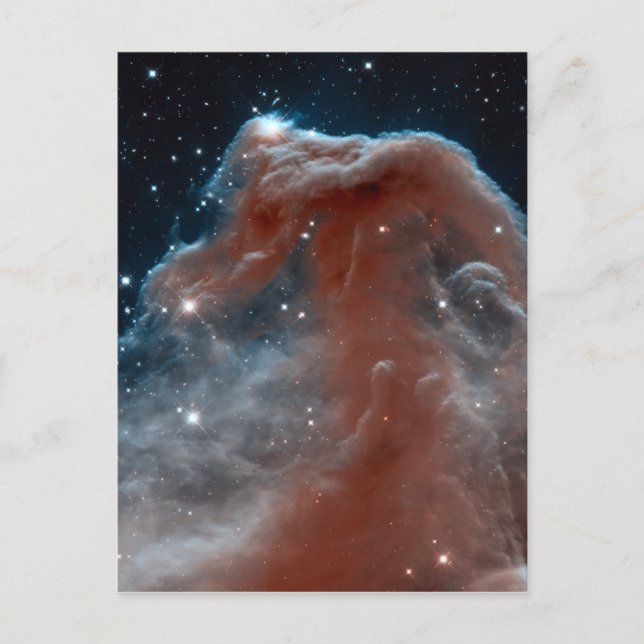 Horsehead Nebula Space Astronomy Postcard (Front)