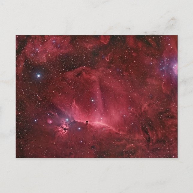 Horsehead Region Postcard (Front)