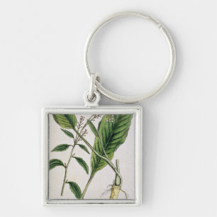Horseradish, plate 415 from 'A Curious Herbal', pu Key Ring