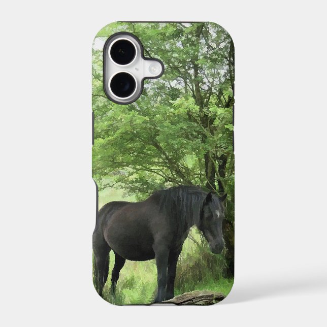 HORSES (Back)
