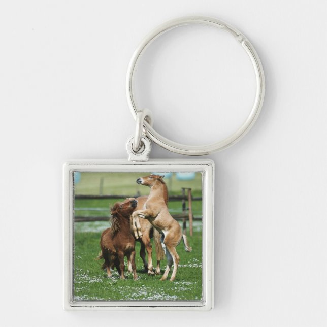 Horses 3 key ring (Front)