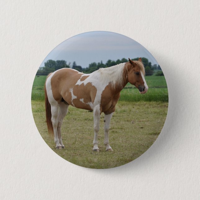 Horses 6 Cm Round Badge (Front)