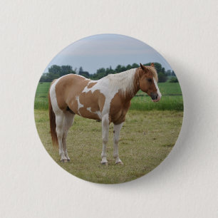Horses 6 Cm Round Badge