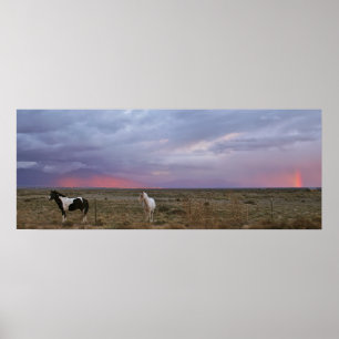 Horses After the Storm Poster