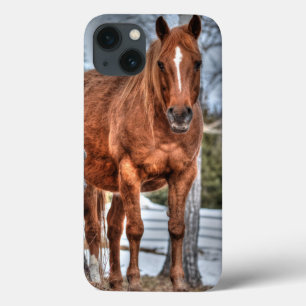 Horses - American Western Theme iPhone 13 Case