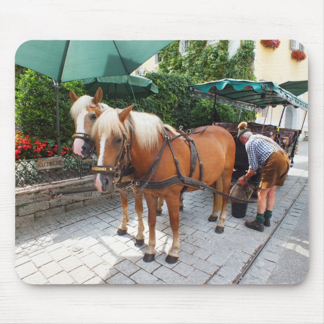 Horses and carriage mouse pad (Front)