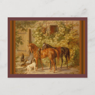 Horses and Dogs in Stable Yard Postcard