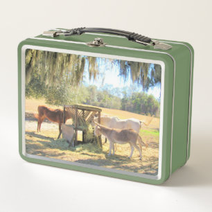 Horses and Donkey Lunch Time Metal Lunch Box