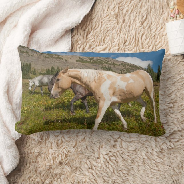 Horses and Mules Lumbar Cushion (Blanket)
