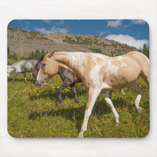 Horses and Mules Mouse Pad (Front)