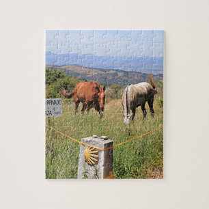 Horses and shell marker post, El Camino, Spain Jigsaw Puzzle