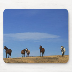 Horses and Sky Mouse Pad