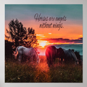 Horses are angels without wings poster