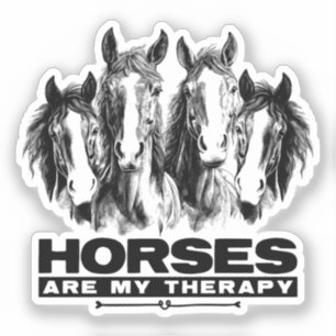 Horses Are My Therapy Horses Animal Enthusiasts