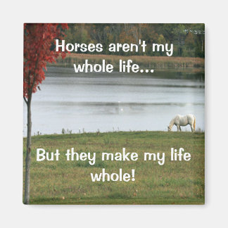 Horses Aren't My Whole Life Magnet