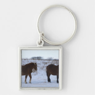 Horses at Cape Kiritappu, Hokkaido Prefecture, Key Ring