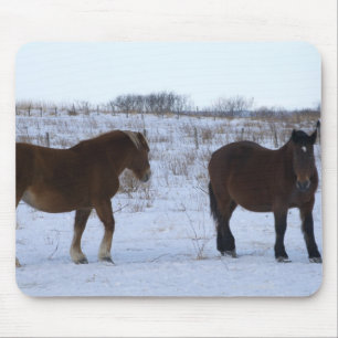 Horses at Cape Kiritappu, Hokkaido Prefecture, Mouse Pad