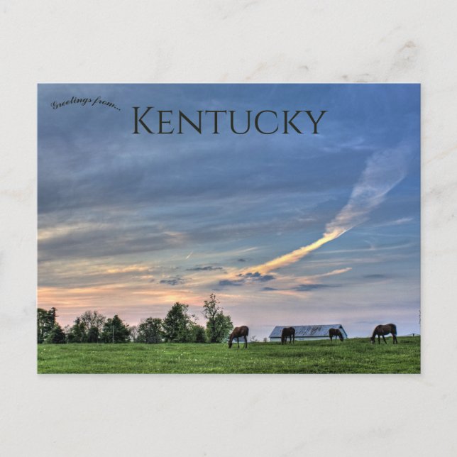 Horses at Sunset in Lexington Kentucky Postcard (Front)