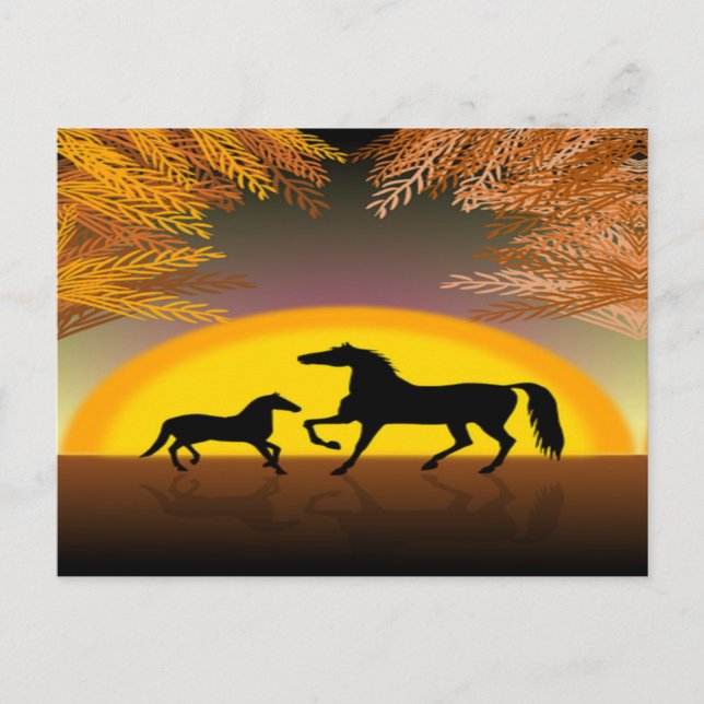 horses at sunset postcard (Front)