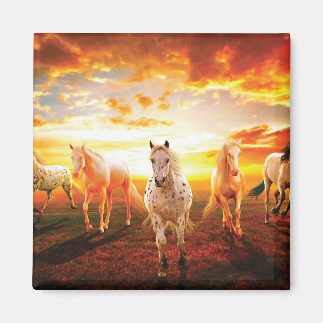 Horses at sunset throw pillow magnet (Front)