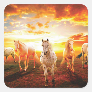 Horses at sunset throw pillow square sticker