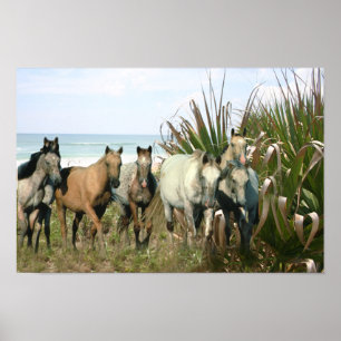 Horses At The Beach Print